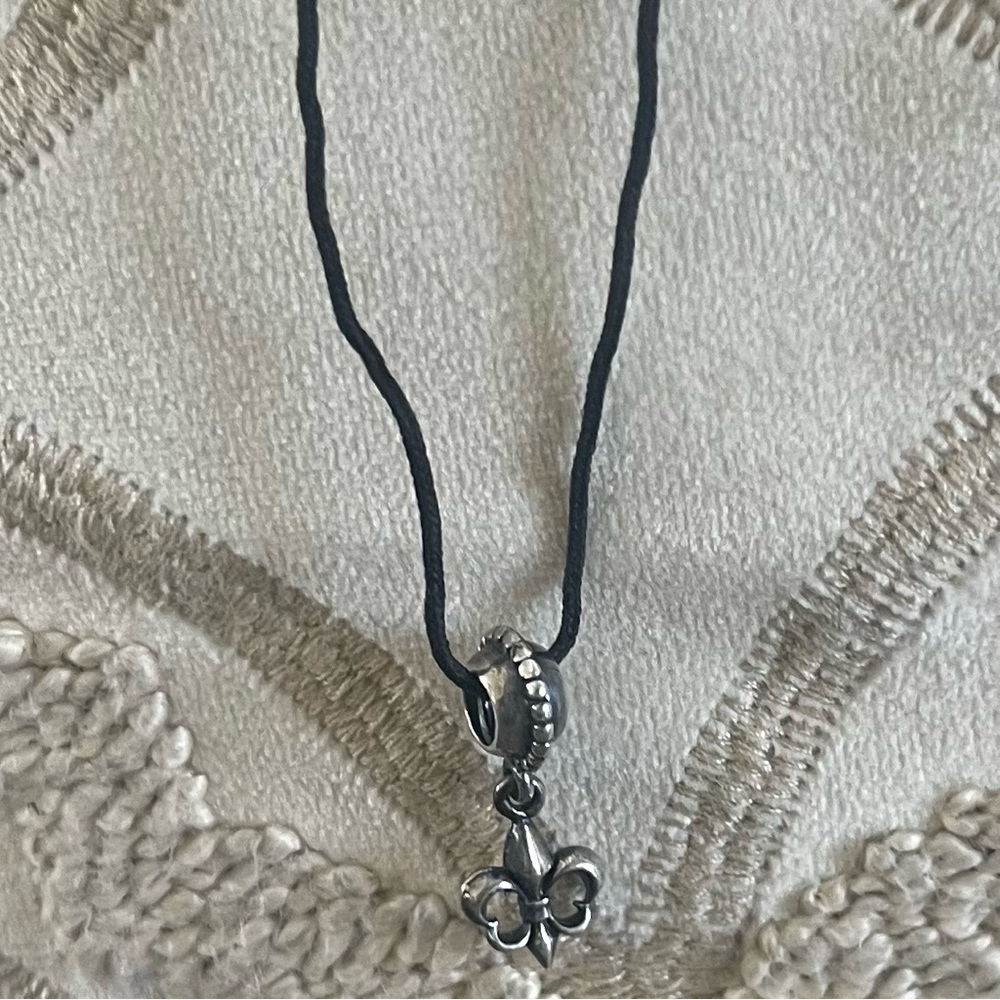 Pandora necklace and charm